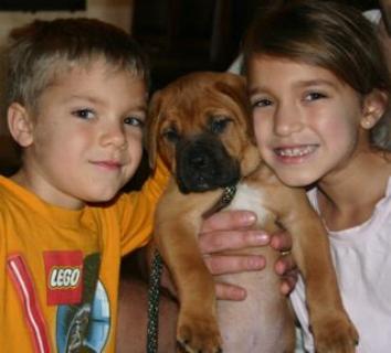 Coats family
