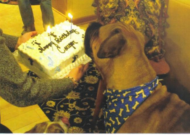 Cougar 1st birthday 