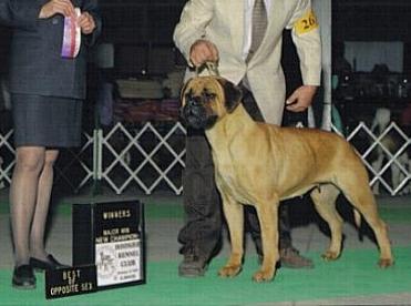 Dixie New Champion